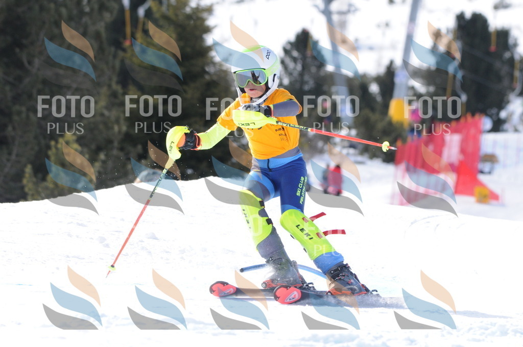 C7425 | holidayphoto