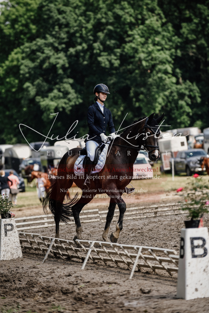 DSC_0836 | Pferde- und Turnierfotografie in Westsachsen. Pferdeportraits, Auftragszeichnungen und intuitive Kunst.