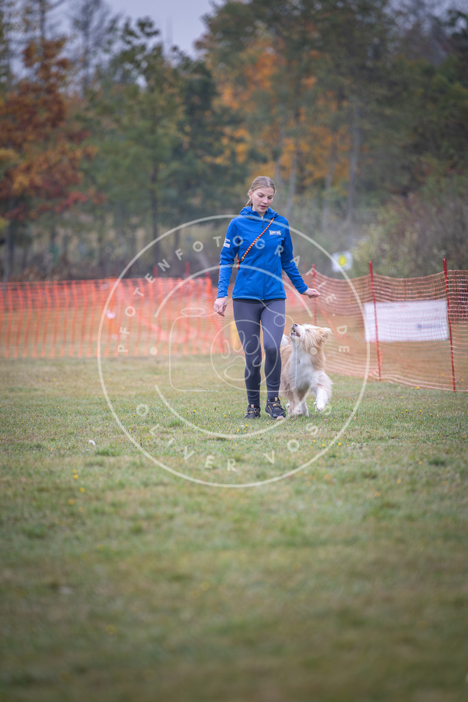 Pfotenfotografie_DV3A8716 | Hundefotografie, Tierfotograf, Pfotenfotografie, Fotoshooting Hund, Hunde Portrait, Hundesport, Hundeportraits, Heideshooting, Hunde, Sportfotograf, Hundefotograf, Turnierhundsport, THS,  - Realisiert mit Pictrs.com