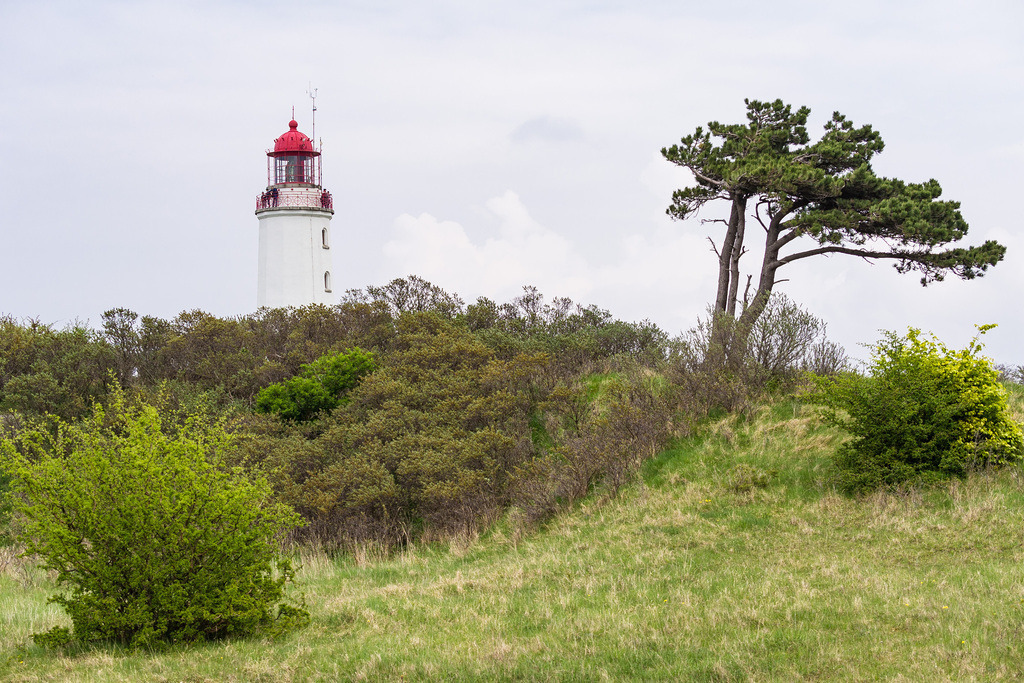 Der Leuchtturm Dornbusch auf der Insel Hiddensee | Der Leuchtturm Dornbusch auf der Insel Hiddensee.