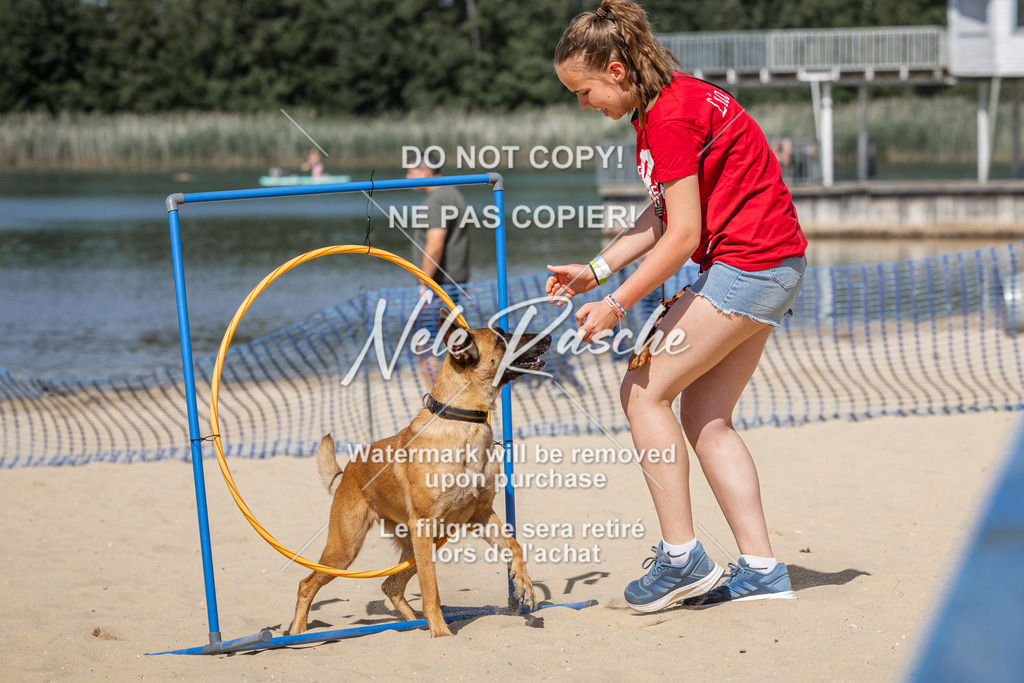nelerasche_saBeachility_463 | nelerasche
