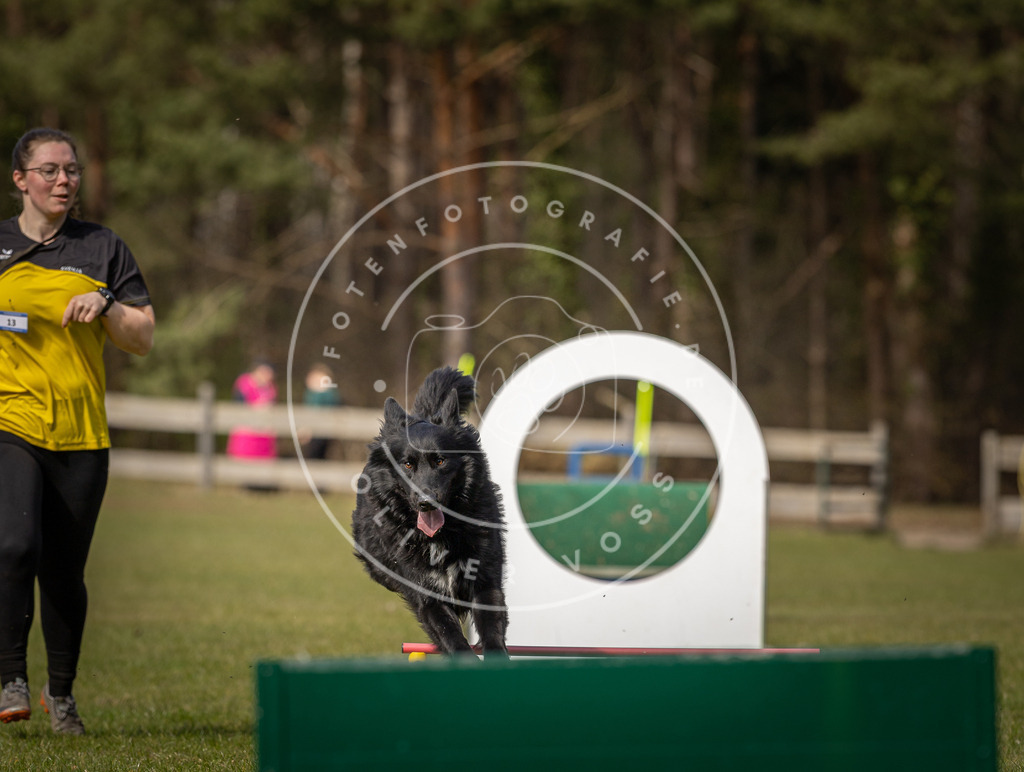Pfotenfotografie_DV3A0712 | Hundefotografie, Tierfotograf, Pfotenfotografie, Fotoshooting Hund, Hunde Portrait, Hundesport, Hundeportraits, Heideshooting, Hunde, Sportfotograf, Hundefotograf, Turnierhundsport, THS,  - Realisiert mit Pictrs.com