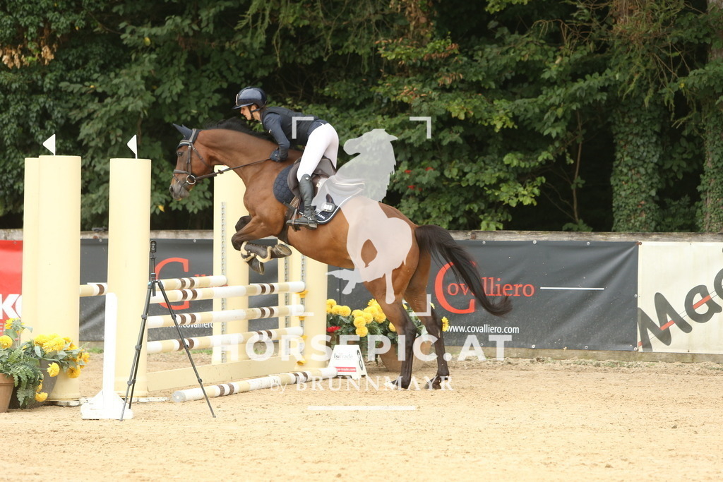 DL2Q6190 | Willkommen bei Brunnmayr - Design & Fotografie – Ihrem Spezialisten für Reitturniere und Pferdeveranstaltungen in Oberösterreich, Salzburg und Bayern! Seit über 17 Jahren sind wir leidenschaftlich dabei.