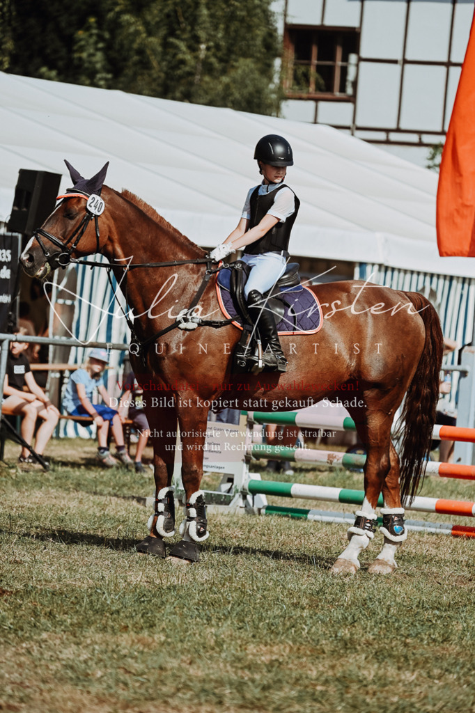 DSC_9454 | Pferde- und Turnierfotografie in Westsachsen. Pferdeportraits, Auftragszeichnungen und intuitive Kunst.