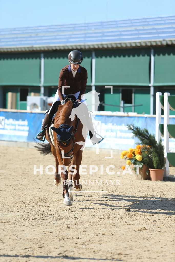 DL2Q1037 | Willkommen bei Brunnmayr - Design & Fotografie – Ihrem Spezialisten für Reitturniere und Pferdeveranstaltungen in Oberösterreich, Salzburg und Bayern! Seit über 17 Jahren sind wir leidenschaftlich dabei.