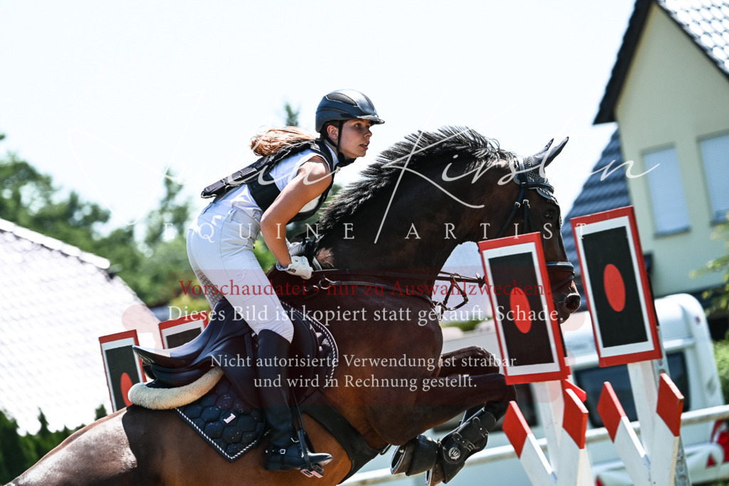 DSC_0232 | Pferde- und Turnierfotografie in Westsachsen. Pferdeportraits, Auftragszeichnungen und intuitive Kunst.