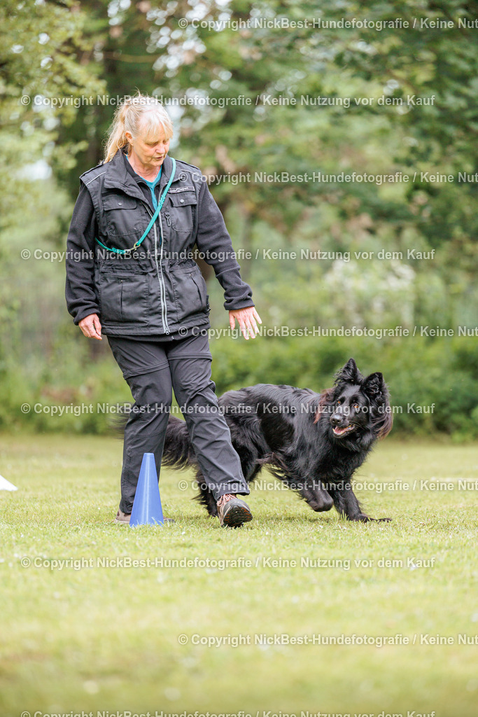 RO-Blumenthal-2026-Nickbest-Hundefotografie-3267 | Dein Hund! Dein Moment! Deine Erinnerungen! Hundefotografie in Bremen Blumenthal. Ich fange die besonderen Momente deines Vierbeiners ein – ob Indoor mit Blitzanlage oder in der freien Natur. Sicher dir dein Moment und dein Termin für eure Erinnerungen.