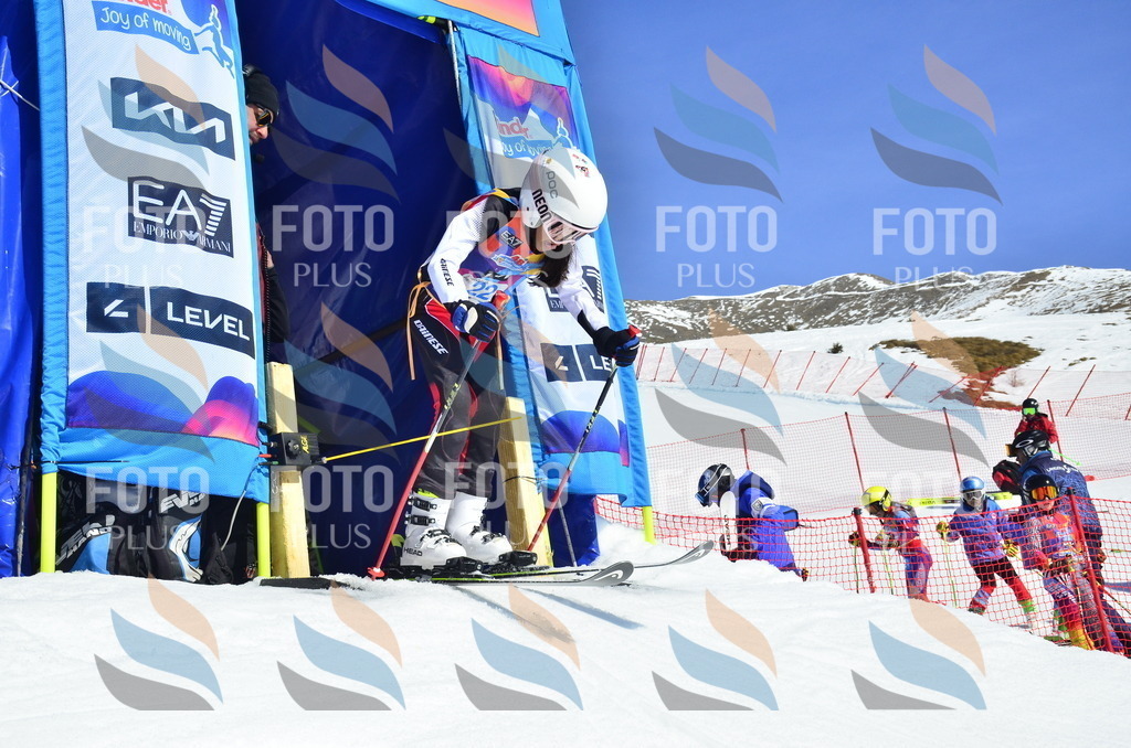 _ELE9899 | holidayphoto