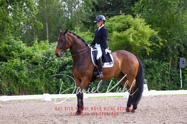 DKP41691 | Turnierfotos kaufen im Webshop von Daniel Kuhl Photography – entdecke professionelle Reitsportfotos aus Turnieren & Events. Hochwertige Turnierbilder online bestellen & sichern. Jetzt Fotos von Reitsportturnieren kaufen!