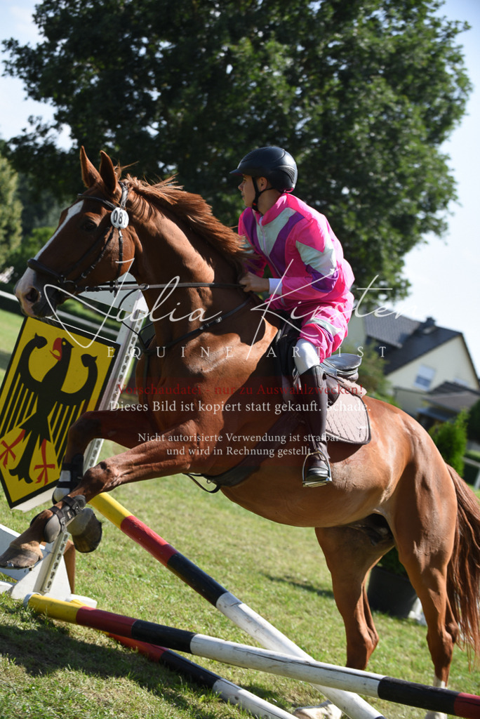 DSC_0239 | Pferde- und Turnierfotografie in Westsachsen. Pferdeportraits, Auftragszeichnungen und intuitive Kunst.