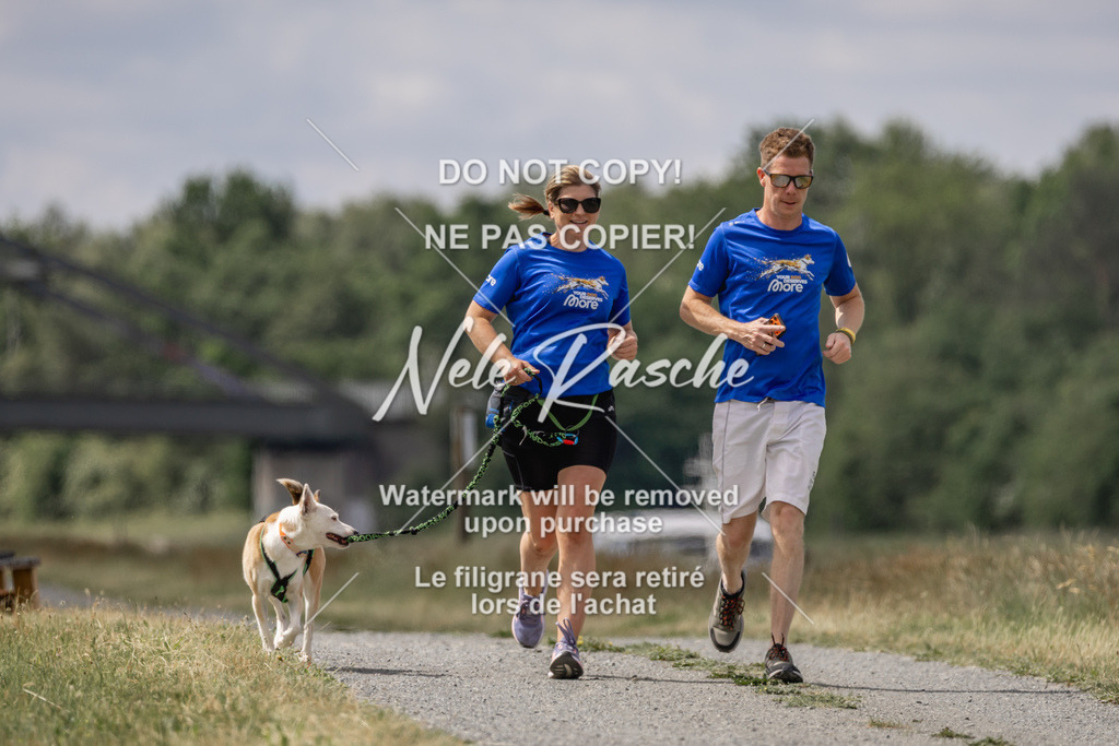 nelerasche_BuHu2026_SaCC1100-1200_100 | nelerasche