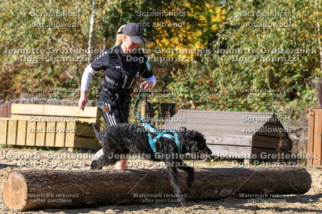 Dog Paparazzi - Strongdog 10-25-4663 | Dog Paparazzi Jeanette Grottendiek Fotografie & Videografie