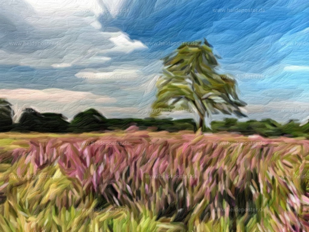 brushed_DSCN4152 | Poster aus der Lüneburger Heide - Realisiert mit Pictrs.com