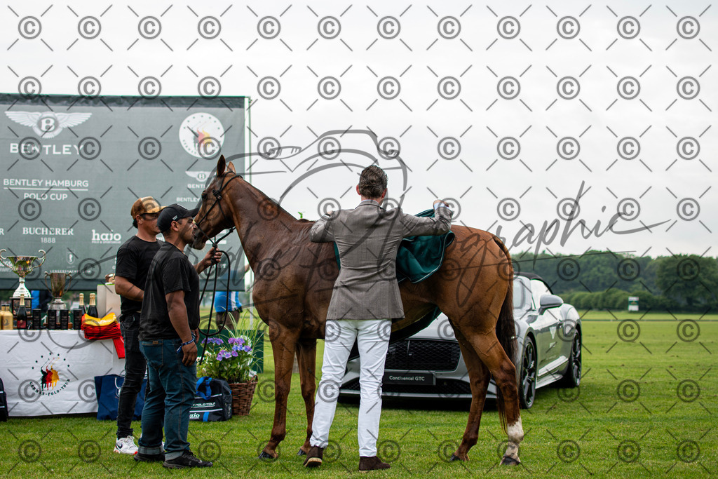 POL_3061 | andre_photographic