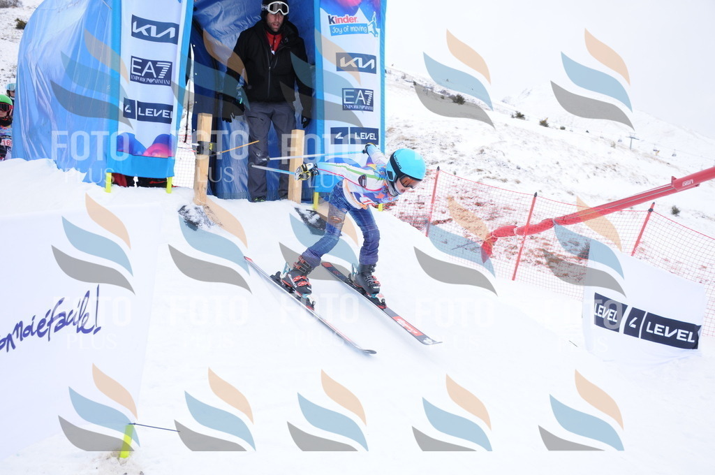 DSC_8901 | holidayphoto