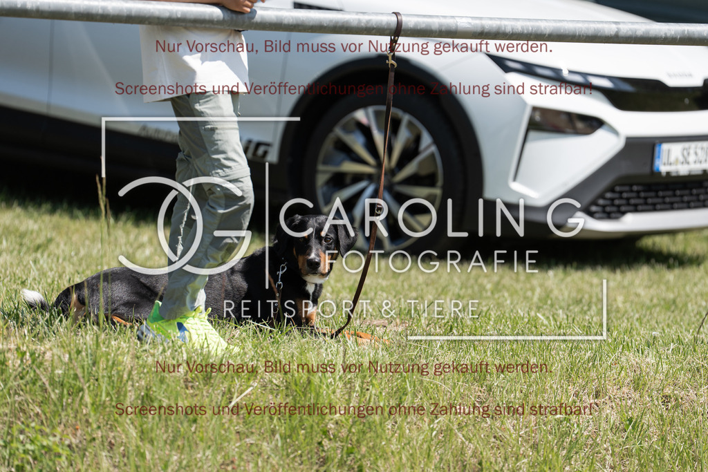 DSC04311 | Turnierfotografin Carolin Gieschke, Turnierfotografie Carolin G Fotografie, Turnierfotos Kirchheim/Teck, Esslingen, Stuttgart, Bodenseekreis