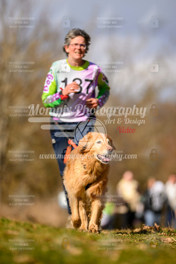 MompixPhotography_10Schwabentrail2026_SO_Canicross-114 | PayLife