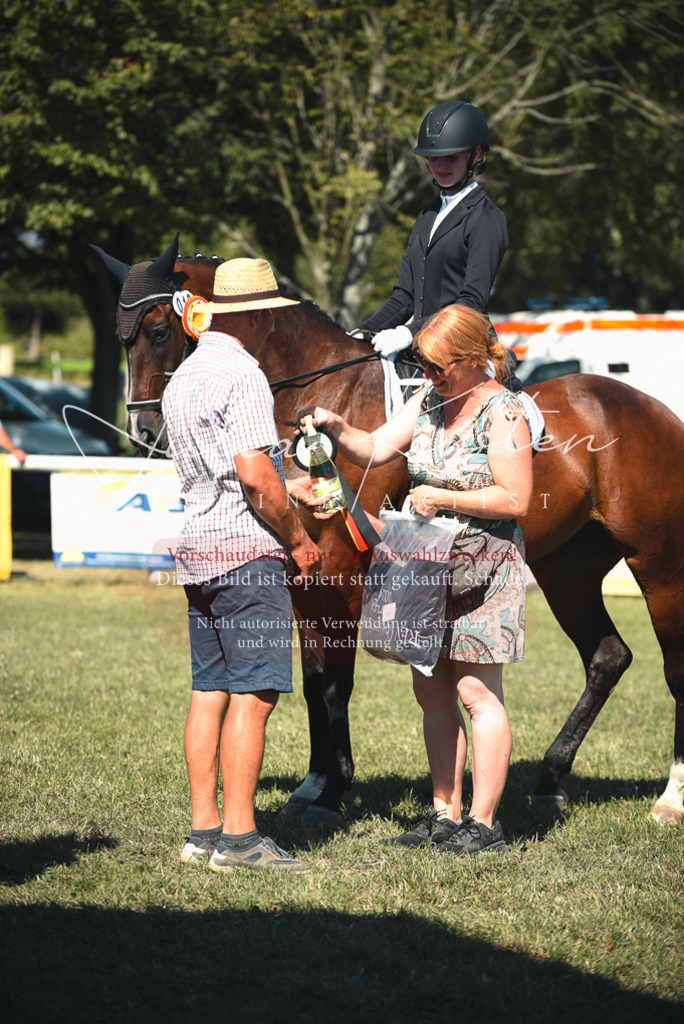 DSC_7309 | Pferde- und Turnierfotografie in Westsachsen. Pferdeportraits, Auftragszeichnungen und intuitive Kunst.