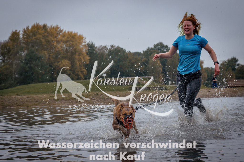 1209_ZZ98380 | kk-dogfotos