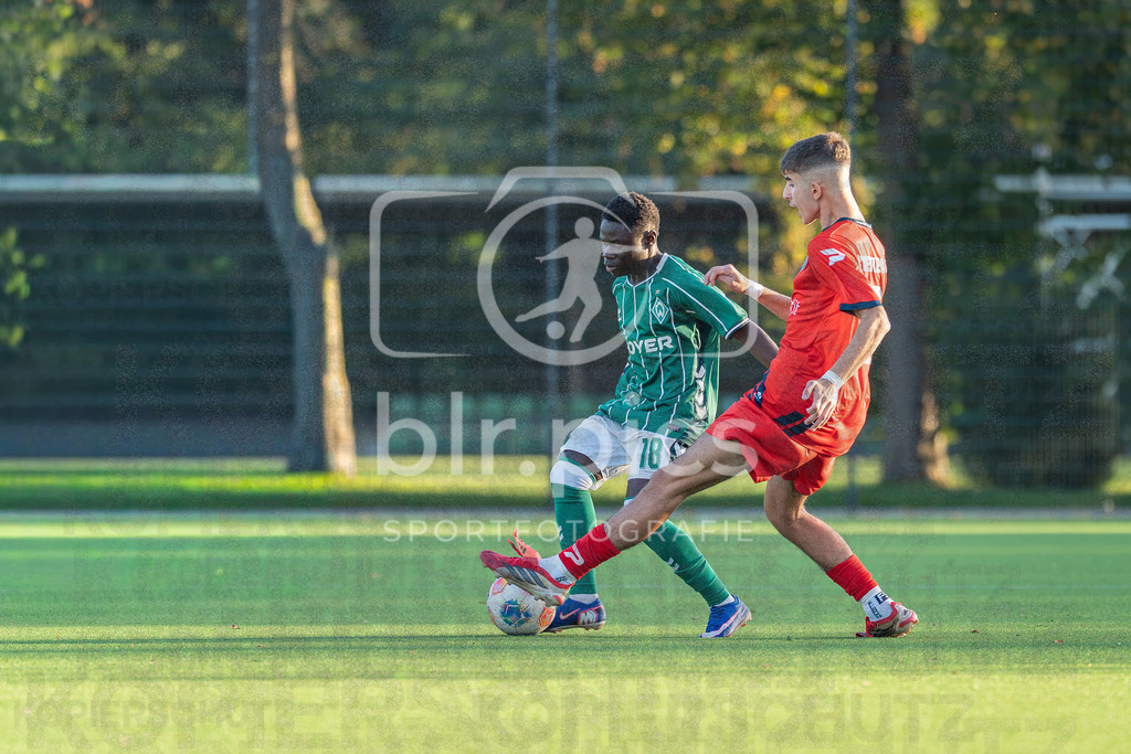 SV Werder Bremen II - Bremer SV | SV Werder Bremen II - Bremer SV