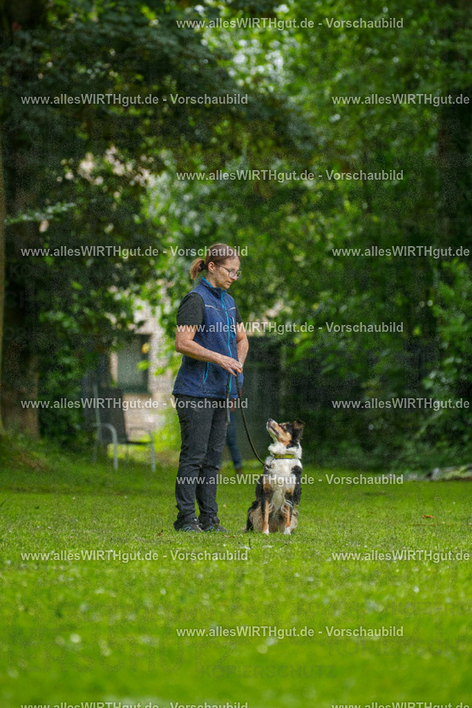 @allesWIRTHgut_Tierfotografie - www.allesWIRTHgut.de - 091700-7R506839 | Professionelle Tierfotografie in Mönchengladbach von Daniel Wirth (allesWIRTHgut). Liebevolle & natürliche Bilder von Hunden & Katzen für unvergessliche Erinnerungen.