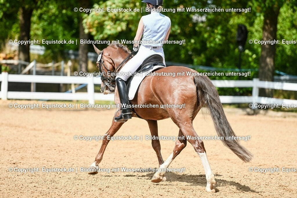 20230716_01_Dressurprüfung Kl.M_0248 | equistock