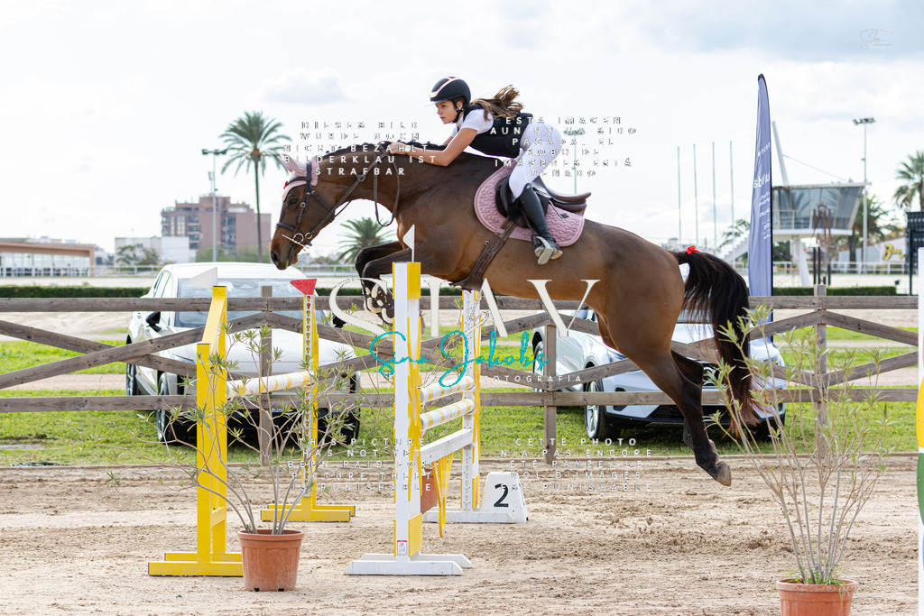 IMG_2829 | s-jay-photography - Realisiert mit Pictrs.com