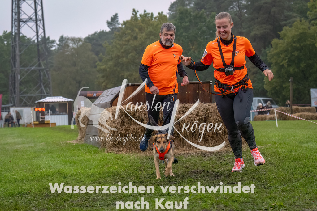 1241--7 | kk-dogfotos
