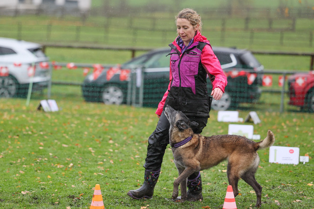 2025_Rally_Obedience_SM-194 | Ich fotografiere Hundeausstellungen, Sportanlässe, Zuchtstätten, Hundezucht, Hundeportrait, Lagotto - Realisiert mit Pictrs.com
