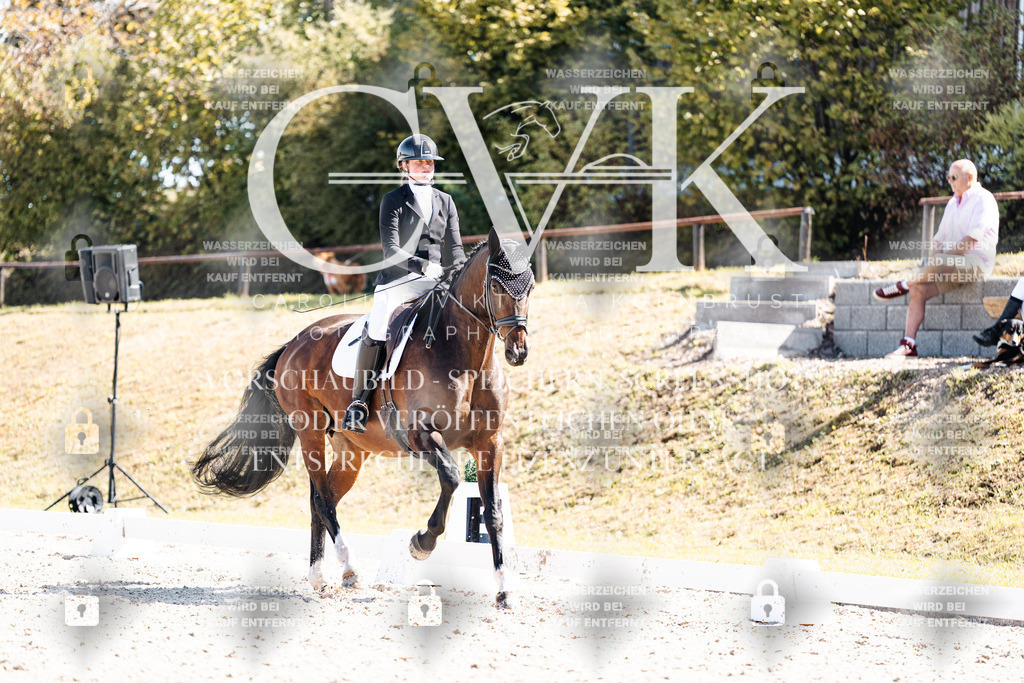 CK903452 | Turnierfotografie Pferdefotografie Trier Rheinland-Pfalz Pferdesport Reitsport Tierfotografie Sportfotografie Pferdevideo Pferdevideografie Equestrianvideography equestrianphotography  - Realisiert mit Pictrs.com
