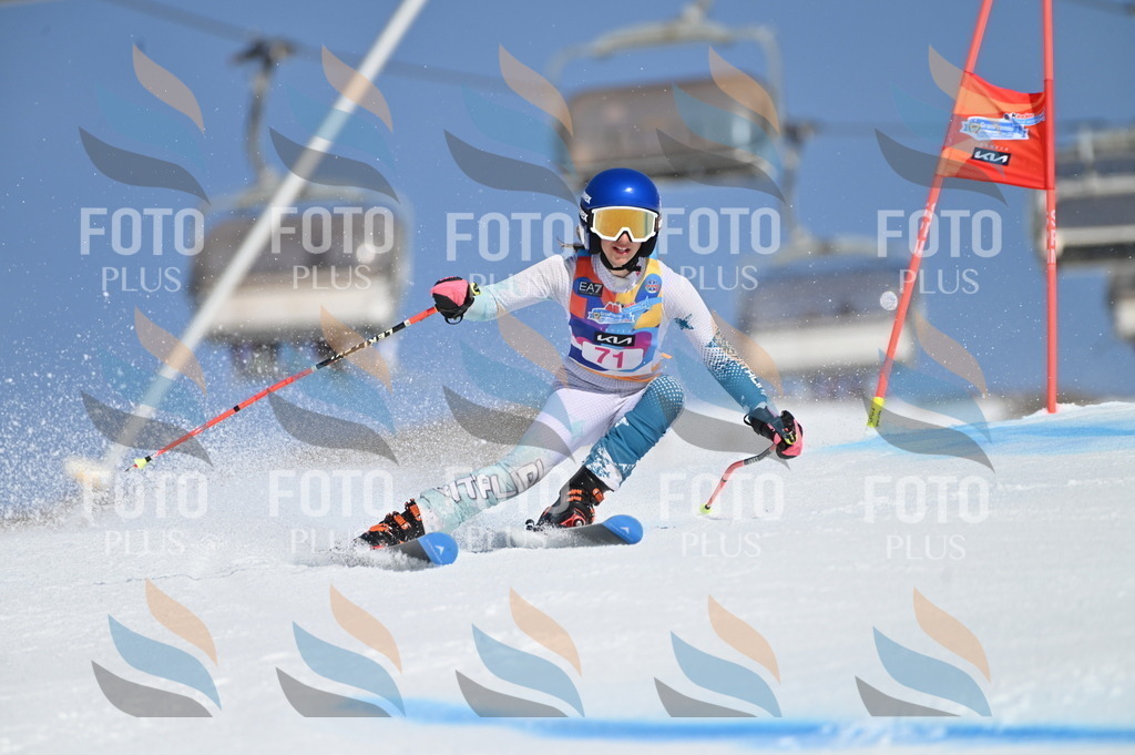 BGV_8922 | holidayphoto