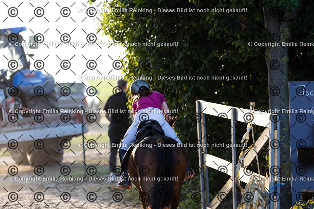 CL5A0618 | Emilia Reinking Fotografie - Realisiert mit Pictrs.com