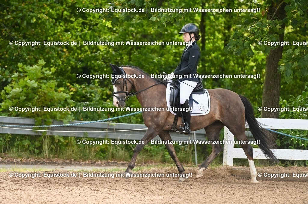 20230716_10-1_Reiter-WB Schritt - Trab - Galopp_0171 | equistock