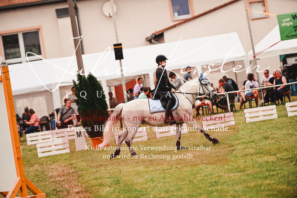 DSC_6968 | Pferde- und Turnierfotografie in Westsachsen. Pferdeportraits, Auftragszeichnungen und intuitive Kunst.