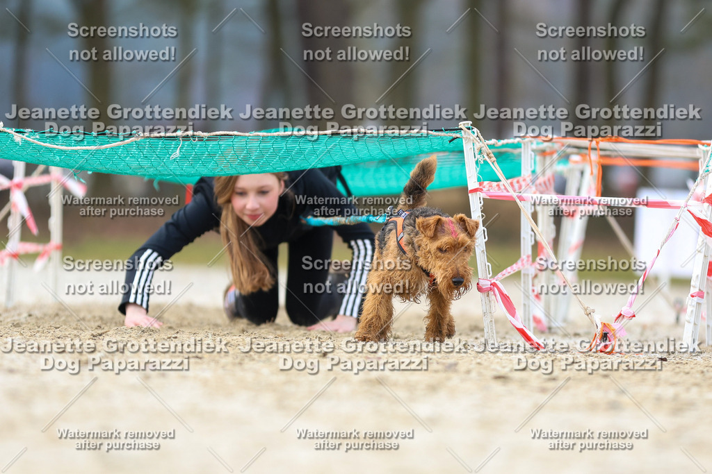 Dog Paparazzi - Strongdog North Mrz26-4047 | Dog Paparazzi Jeanette Grottendiek Fotografie & Videografie - Realisiert mit Pictrs.com