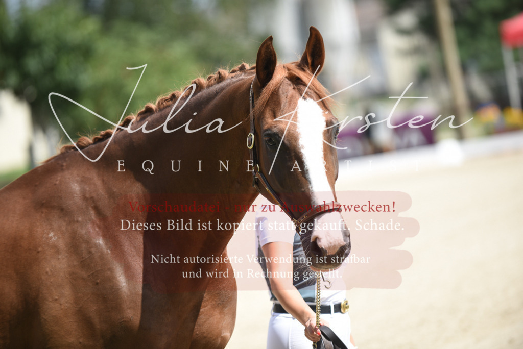 DSC_8996 | Pferde- und Turnierfotografie in Westsachsen. Pferdeportraits, Auftragszeichnungen und intuitive Kunst.