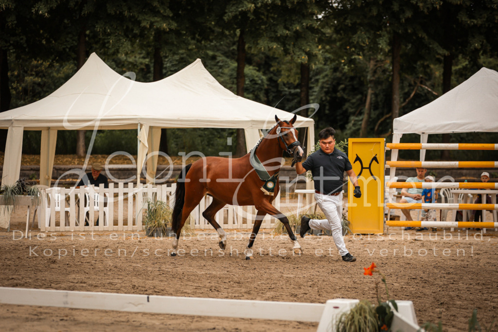 10.-12.Elite00136 | Leoni Ertmer Photography - Realisiert mit Pictrs.com