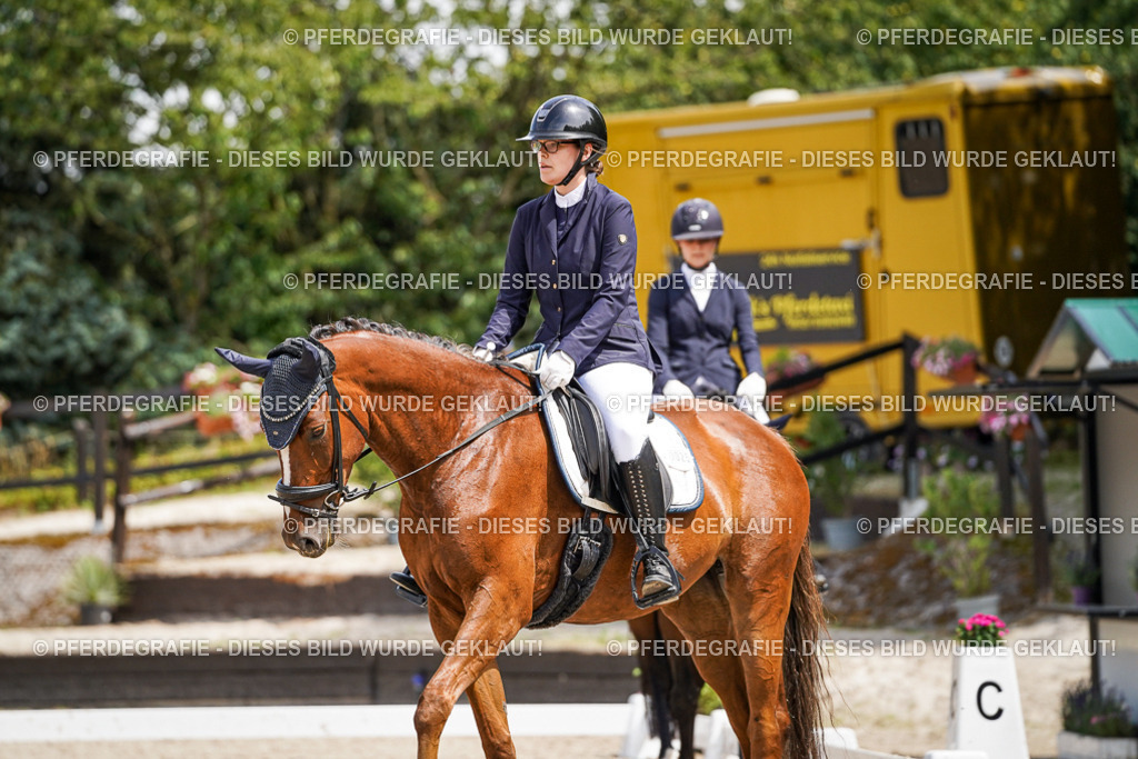 DSC02037 | Pferdegrafie