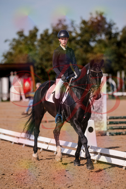 2026_10_03_Siefer-Hof_115422_Z81_93321474 | Professionelle Reitsport-, Turnier- und Eventfotografie von Robert Broda. Galerien mit ausgewählten und bearbeiteten Bildern direkt online ansehen und bestellen.
