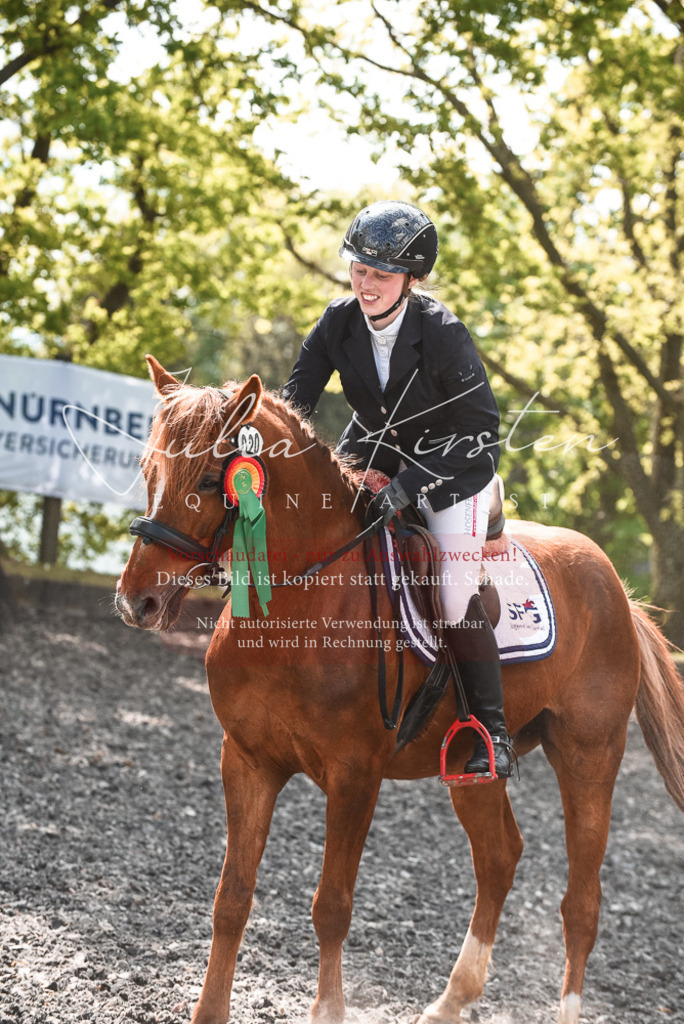 DSC_9119 | Pferde- und Turnierfotografie in Westsachsen. Pferdeportraits, Auftragszeichnungen und intuitive Kunst.
