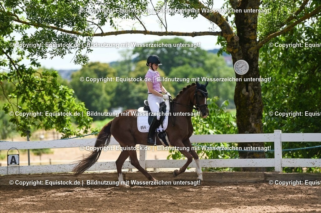 20230716_03_Dressurprfg. Kl.L - Tr._0223 | equistock