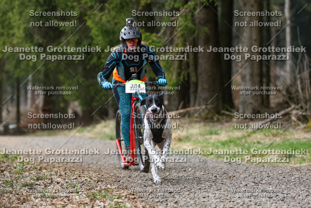 Dog Paparazzi - VCC26-529 | Dog Paparazzi Jeanette Grottendiek Fotografie & Videografie - Realisiert mit Pictrs.com