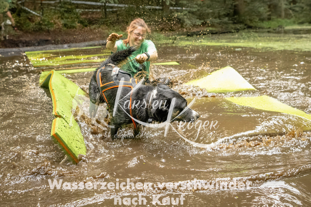 1411_ZZ91415-Bearbeitet | kk-dogfotos