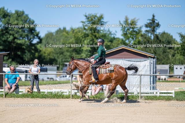 LM Heiligenwald Tag 1-1658 | dv-media-shop - Realized with Pictrs.com