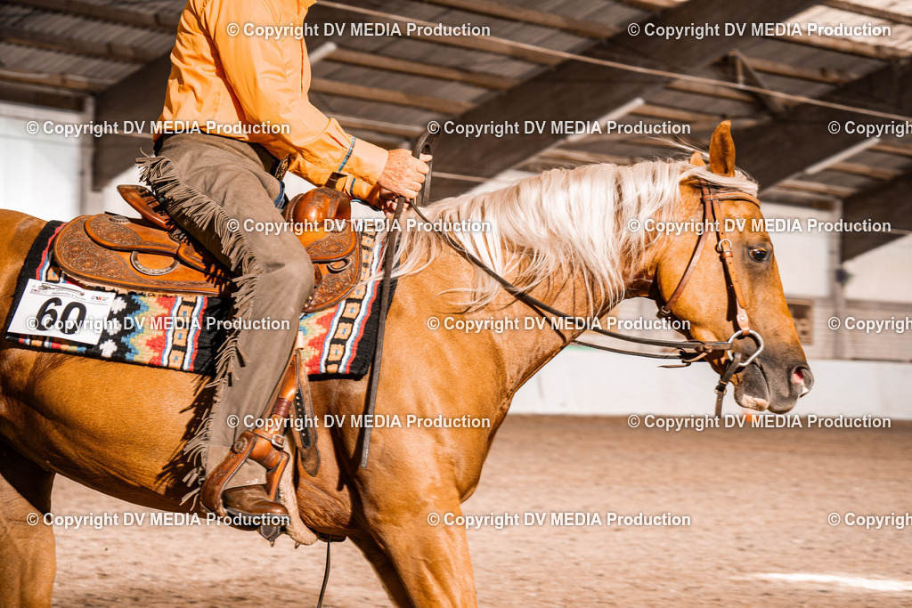 ZH100014 | dv-media-shop - Realisiert mit Pictrs.com