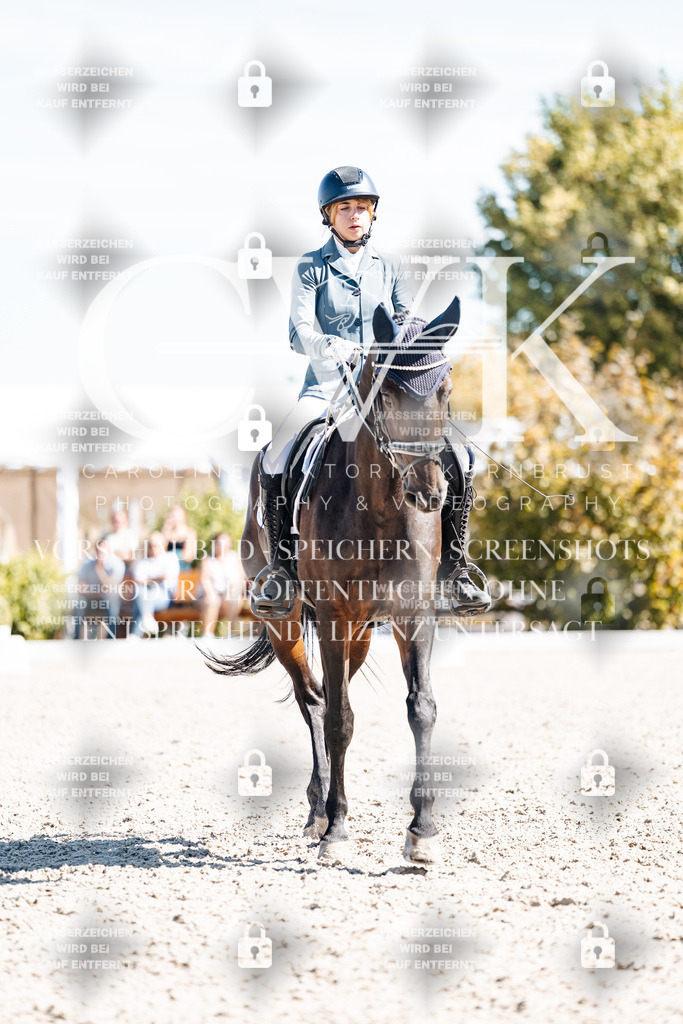 CK909784 | Turnierfotografie Pferdefotografie Trier Rheinland-Pfalz Pferdesport Reitsport Tierfotografie Sportfotografie Pferdevideo Pferdevideografie Equestrianvideography equestrianphotography  - Realisiert mit Pictrs.com