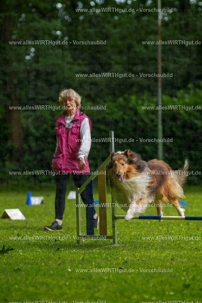 @allesWIRTHgut_Tierfotografie - www.allesWIRTHgut.de - 094953-7R507674 | Professionelle Tierfotografie in Mönchengladbach von Daniel Wirth (allesWIRTHgut). Liebevolle & natürliche Bilder von Hunden & Katzen für unvergessliche Erinnerungen.