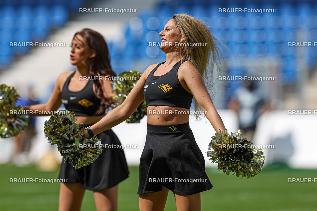 097_Ravens_20230827_0607 | BRAUER-Fotoagentur