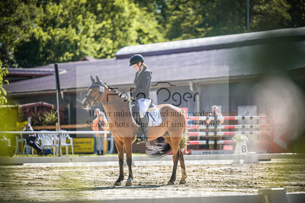 DOS_2568 | Entdecke hochwertige Reitturnierfotos von Foto Oger. Professionell, emotional und authentisch – jetzt Lieblingsmomente im Shop bestellen.Deutschlandweite Turnierfotografie. - Realisiert mit Pictrs.com
