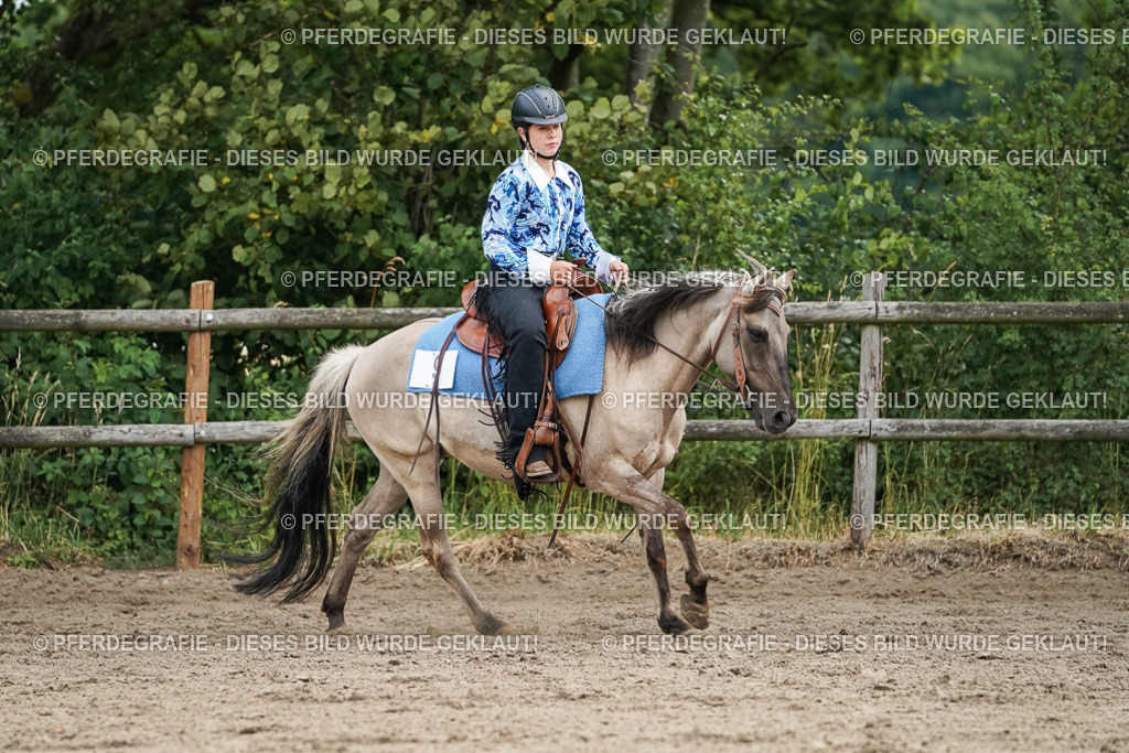 DSC03590 | Pferdegrafie